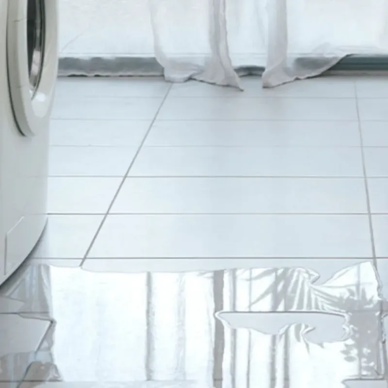 Appliance Leak Cleanup in Jones County, NC