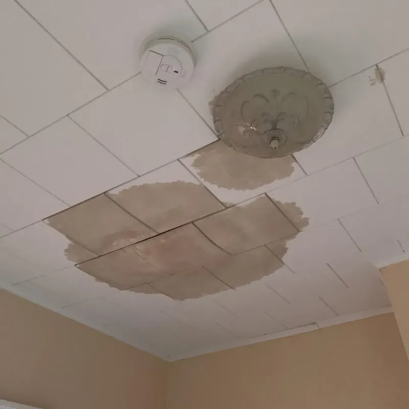 Ceiling Water Damage Repair in Jones County, NC