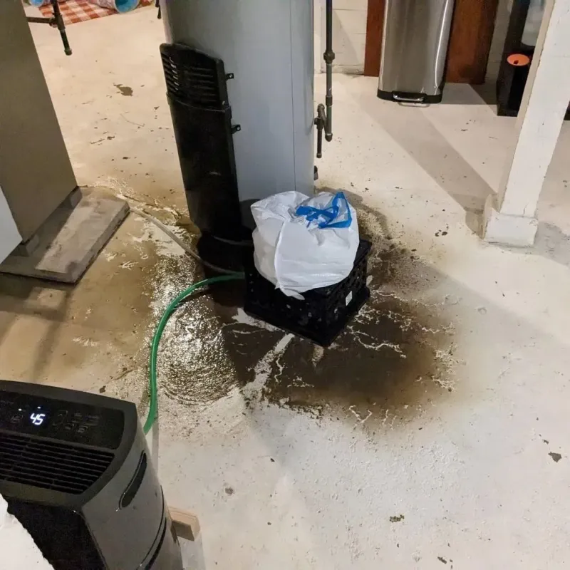 Sewage Backup Cleanup Service in Jones County, NC